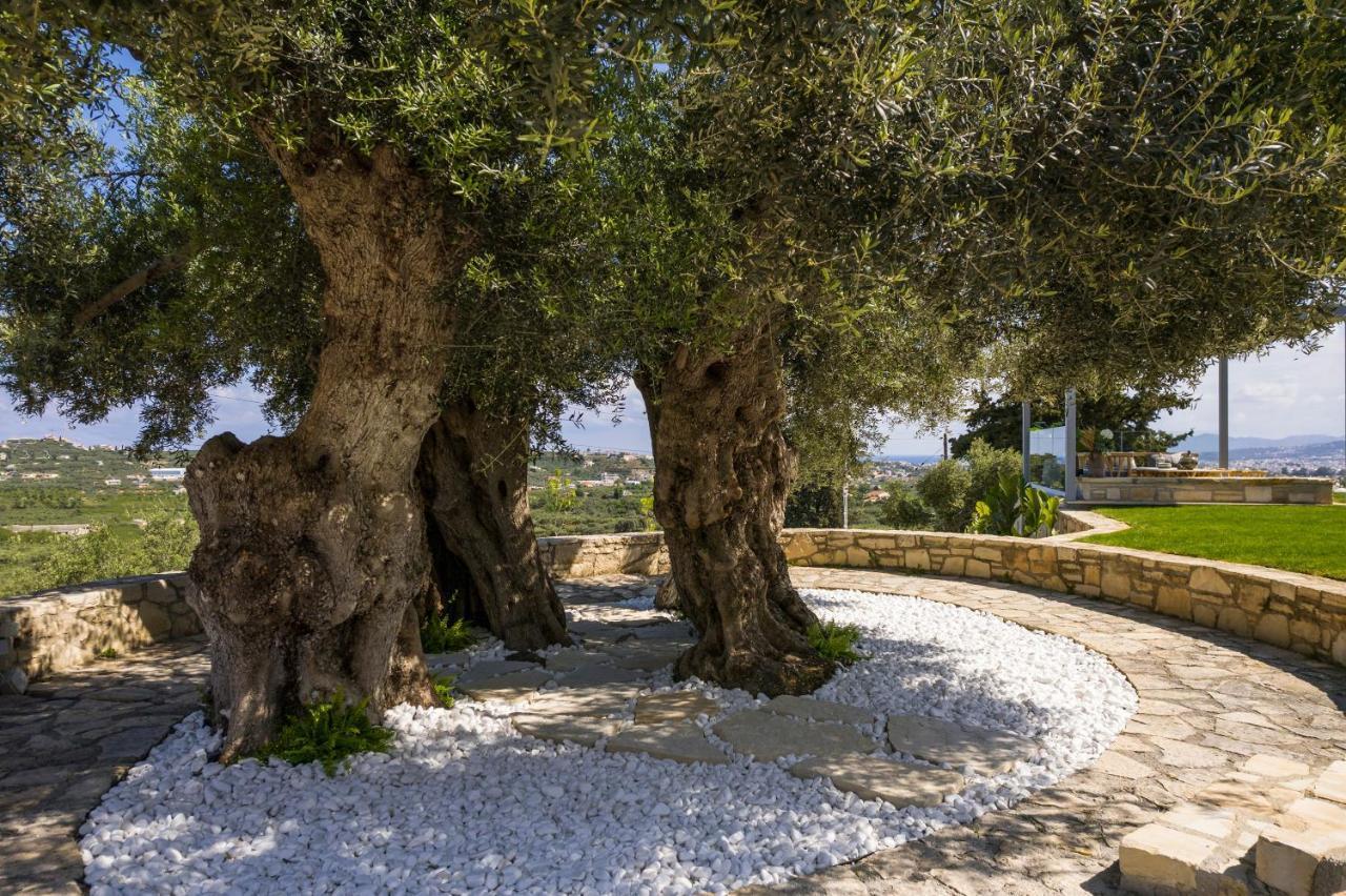 Olivenest Chania Executive Villa Perivólia Exteriér fotografie
